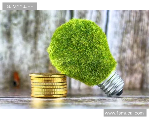 绿色11号足球明星引领环保运动助力可持续发展新潮流